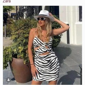 Blogger favorite Zebra mini dress